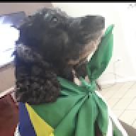 Leonardo Azevedo