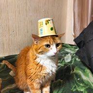 Никита Юманов